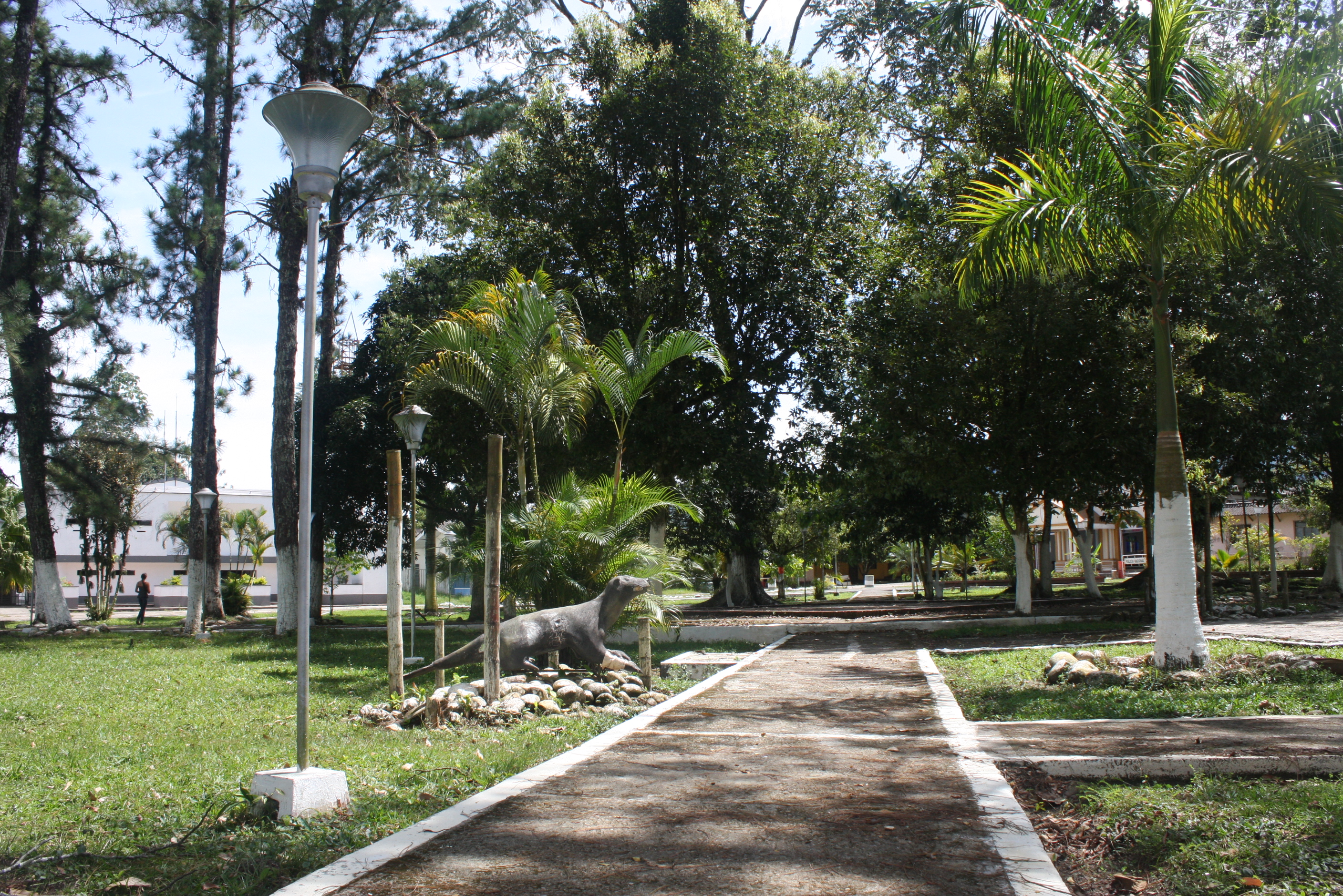 Foto: Juan Fernando Romero (OPGB)